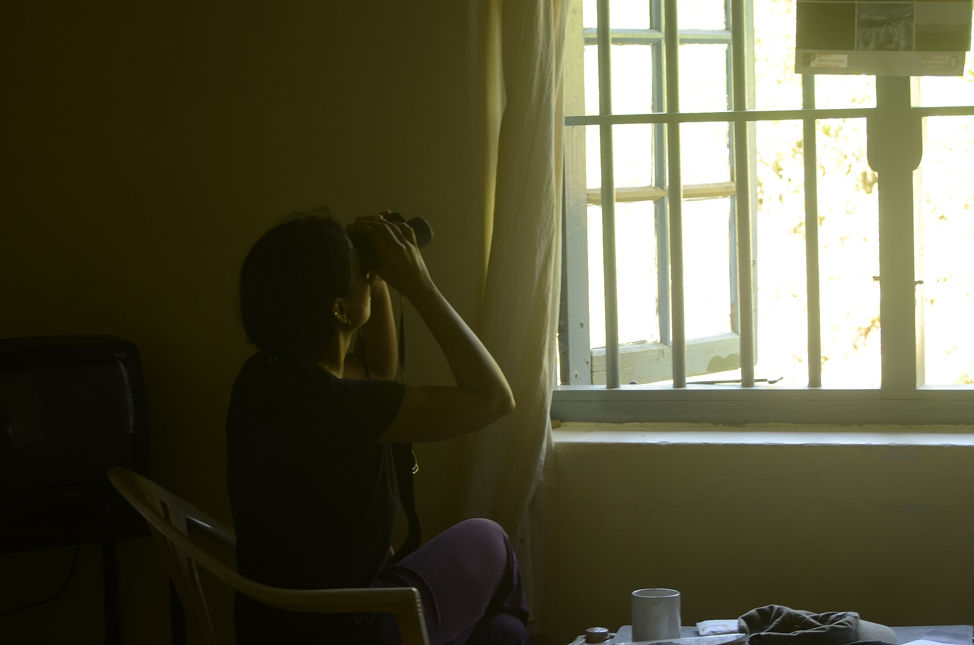 A person looks through binoculars, suggesting a close examination of symbolism in Indian film.